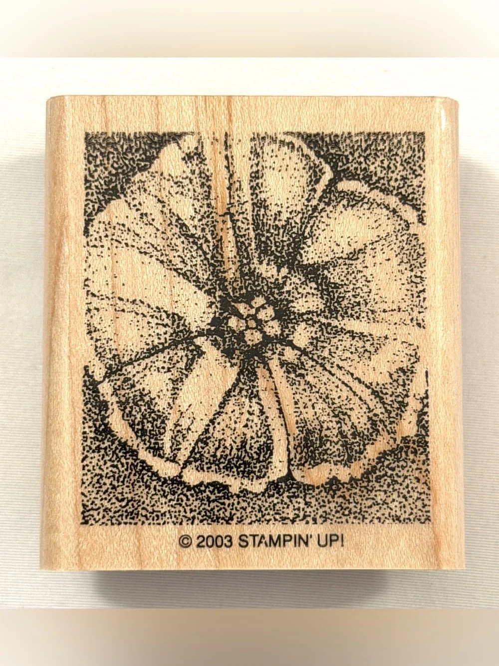 Like New Stampin’ Up Stamp Set~Flowers + Free Stamp Pad